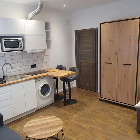 Urban Oasis Apartamento Kaunas